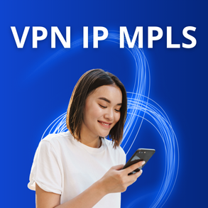 VPN IP MPLS